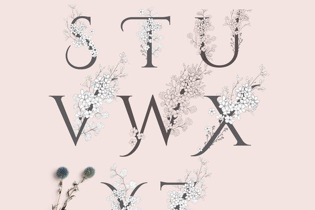 美丽盛开金色花卉字母数字图集 Blooming Gold Floral Letters Numbers插图(4)