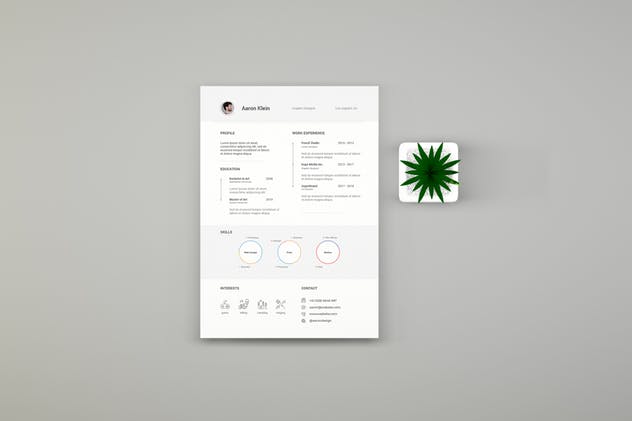 简历设计预览样机模板 Resume Mockups and Template插图(1)