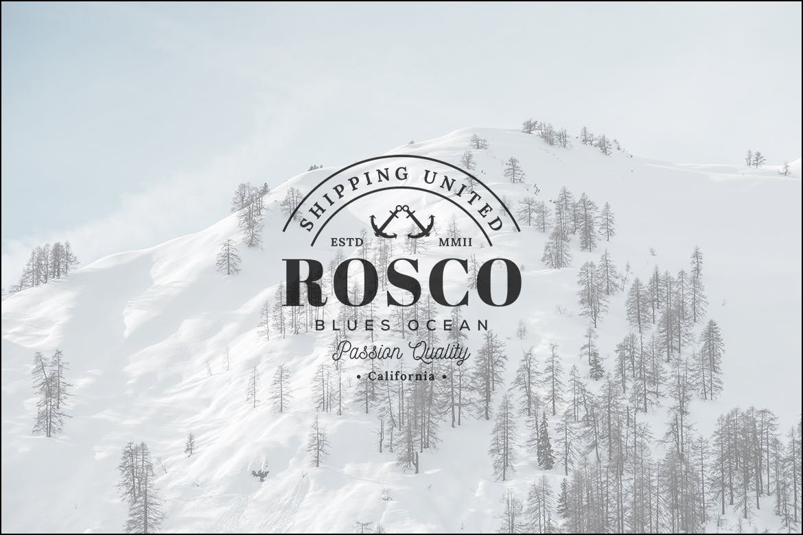 欧美复古设计风格品牌素材库精选LOGO商标模板v24 Vintage Logo & Badge Vol. 24插图(2)