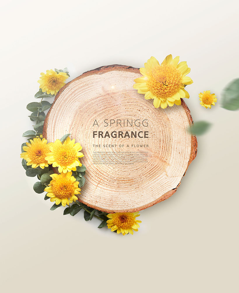 春季海报广告PSD模板下载插图(18)