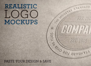 Logo 展示样机模版 Realistic Logo Mockups Volume 1
