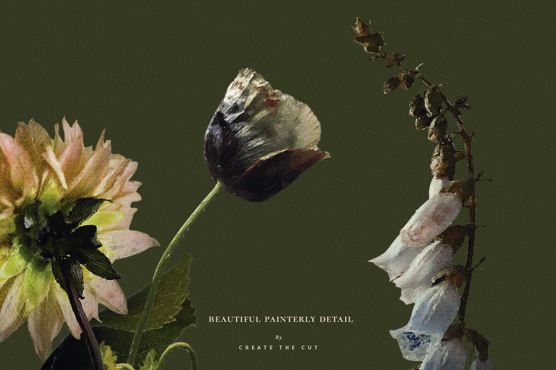 复古风格花卉透明背景剪贴画 Limited Edition – Black Diamond插图(6)