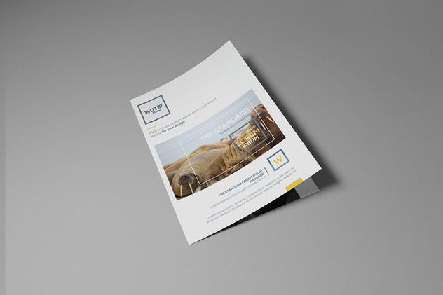 双折页A4规格企业品牌宣传册样机 Bi-Fold A4 Brochure Mockups插图(2)