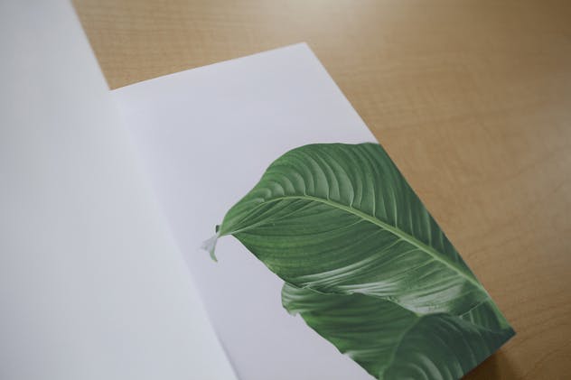 宣传册/小册子/目录设计预览样机素材库精选模板 Brochure / Booklet / Catalog Mock-Up PSD插图(7)