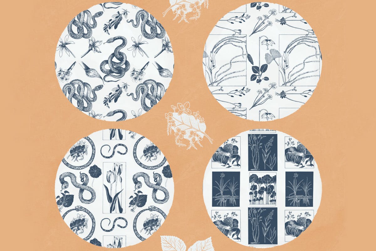 植物学与蛇自然主题无缝图案背景素材 Botany And Snakes Natural Patterns插图(4)