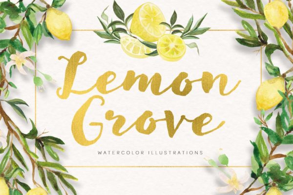 柠檬树水彩手绘矢量插画素材库精选素材 Lemon Grove Watercolor Illustrations