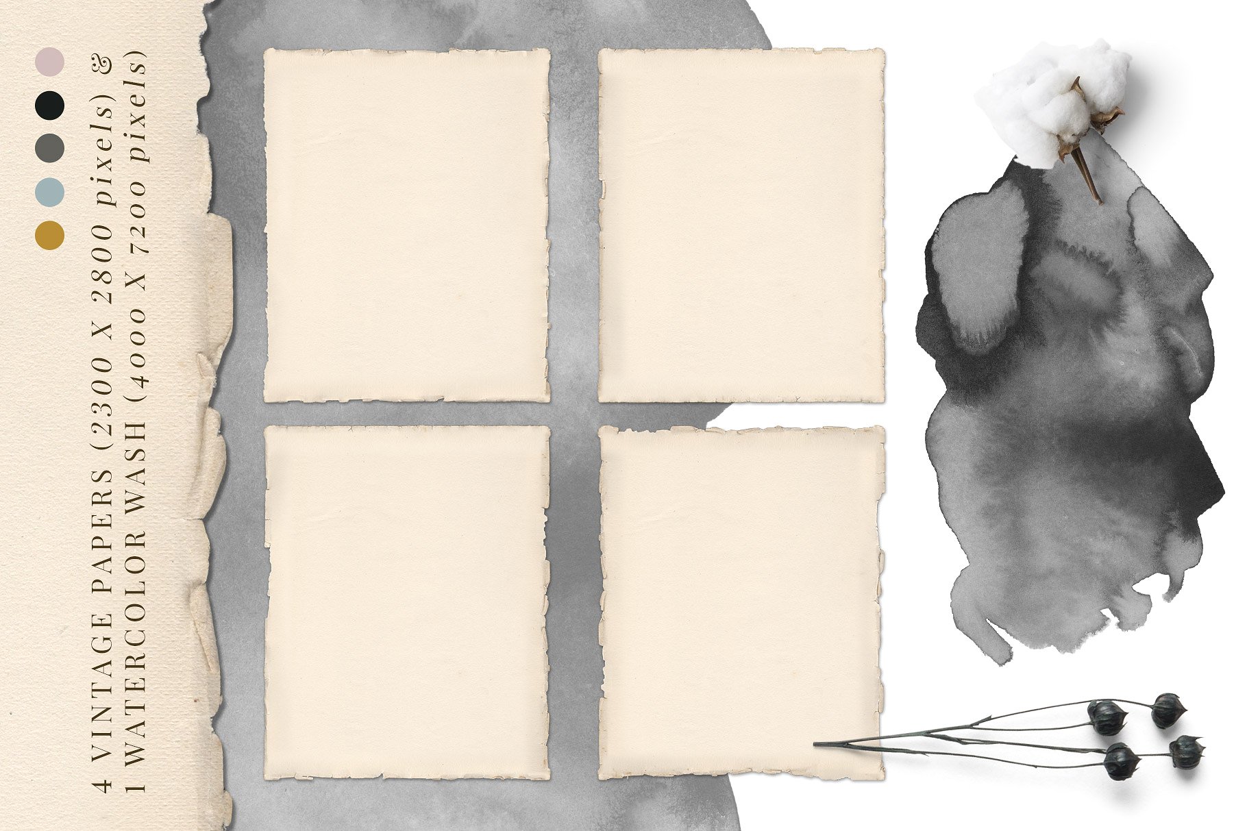 植物与字母的奇思妙想插画 Botanical Curiosities Monograms插图(2)