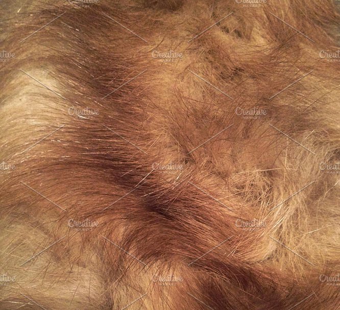 12款混合图案纹理(水彩肌理、木纹、金箔…) Fox Wood Textured Digital Patterns插图(3)