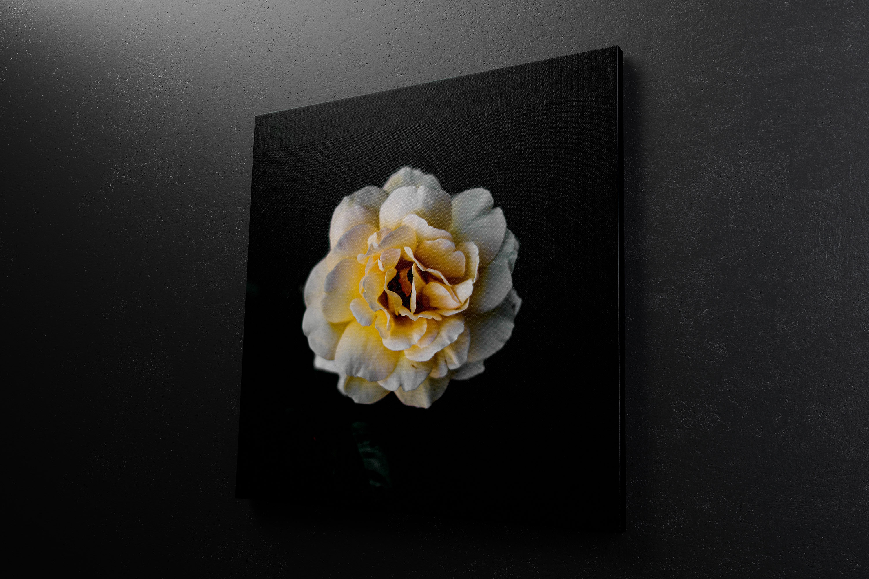 挂墙方形画布油画艺术作品展览右视图样机模板 Square Canvas Mockup Hanging on Wall, Right View插图(4)