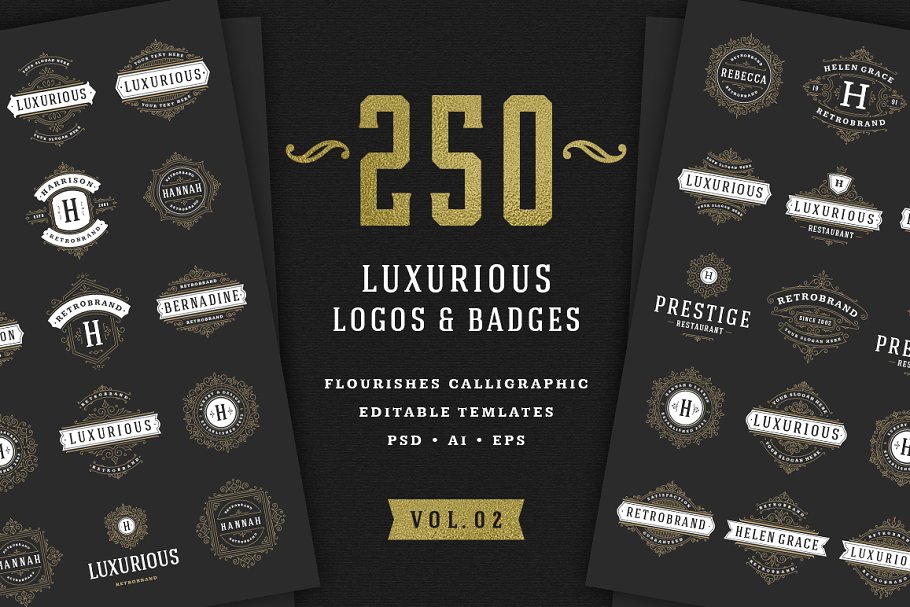 250个复古装饰风格Logo模板 250 ornaments logos & monograms插图