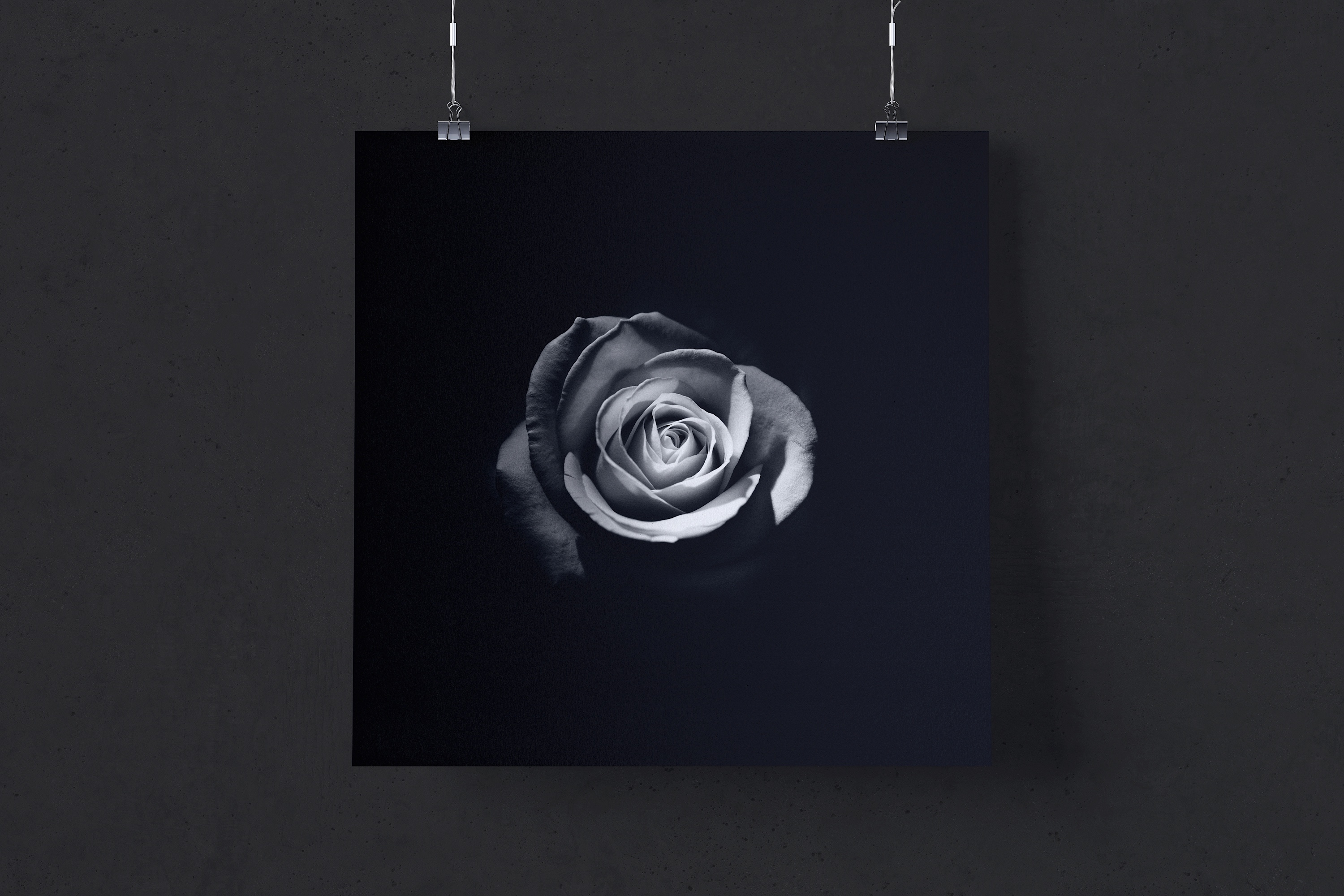 方形悬挂海报设计效果图免费样机模板 Free 1:1 square hanging poster mockup插图(3)