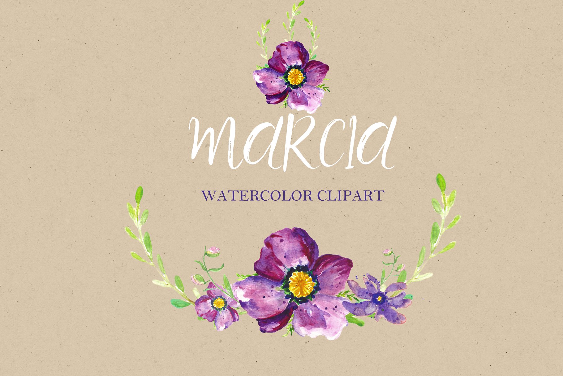 紫色手绘水彩海葵花卉剪贴画 Watercolor clipart Anemone flowers.插图(1)