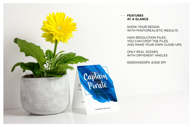 贺卡/邀请函样机模板 Greeting Card / Invitation Mockup插图(2)