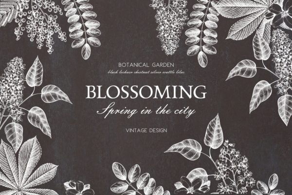 春季树木矢量插画素材 Vector Spring Trees Collection