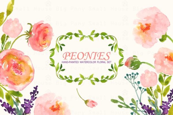 牡丹花水彩剪贴画 Peonies- Watercolor Clip Art Set