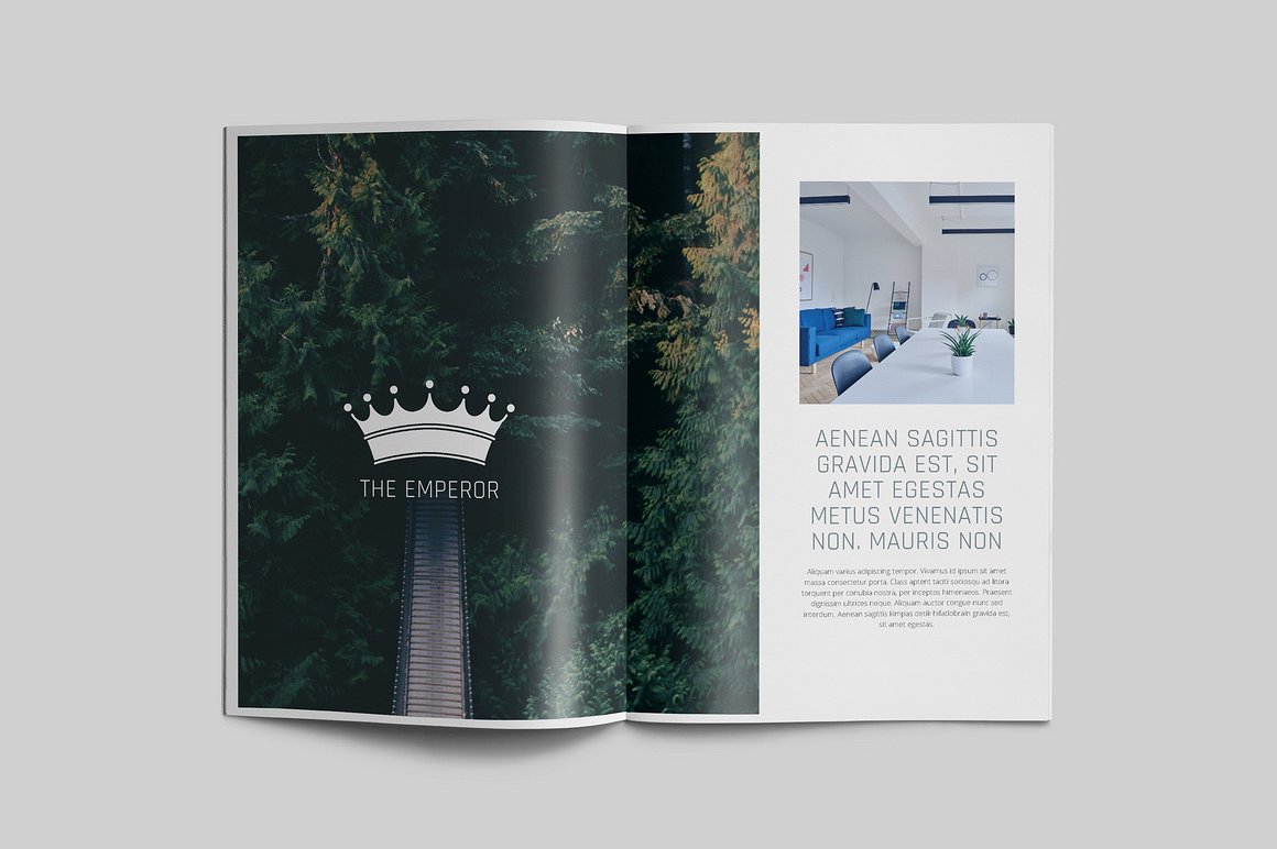 100页漂亮极简的商业化杂志模板下载[indd]插图(29)