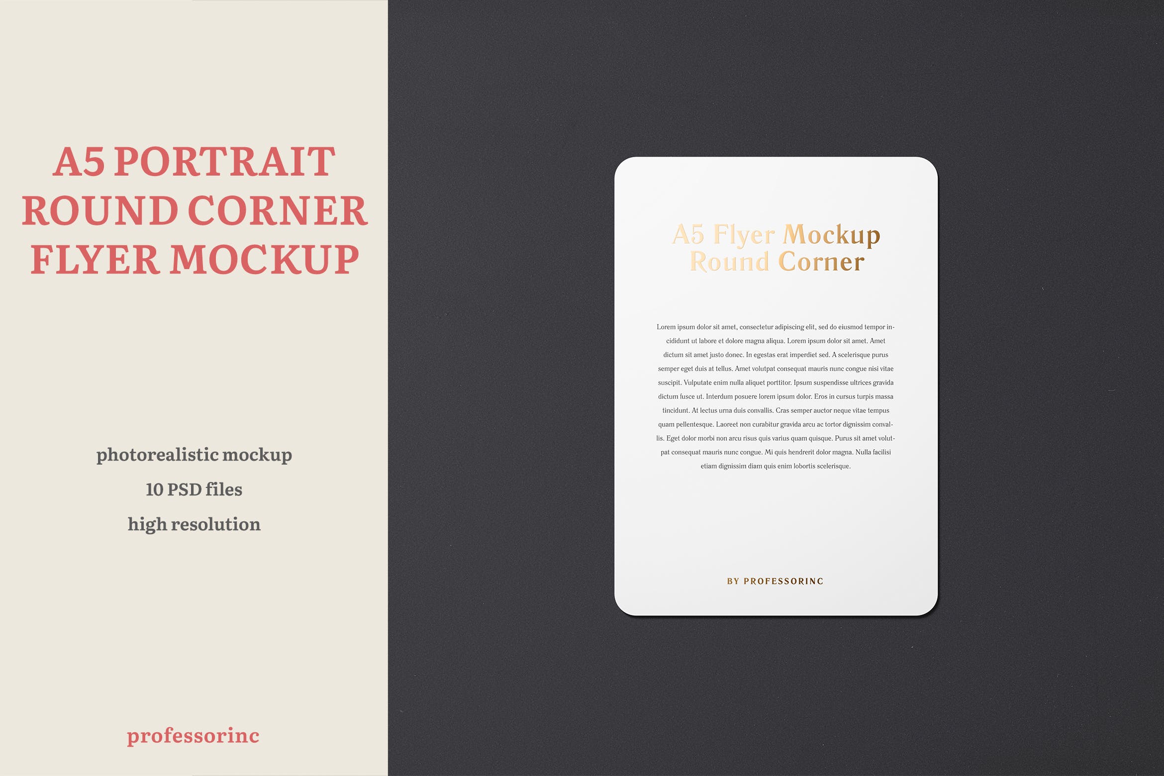 A5尺寸圆角传单纵向效果图样机素材库精选 A5 Portrait Flyer Mockup — Round Corners插图