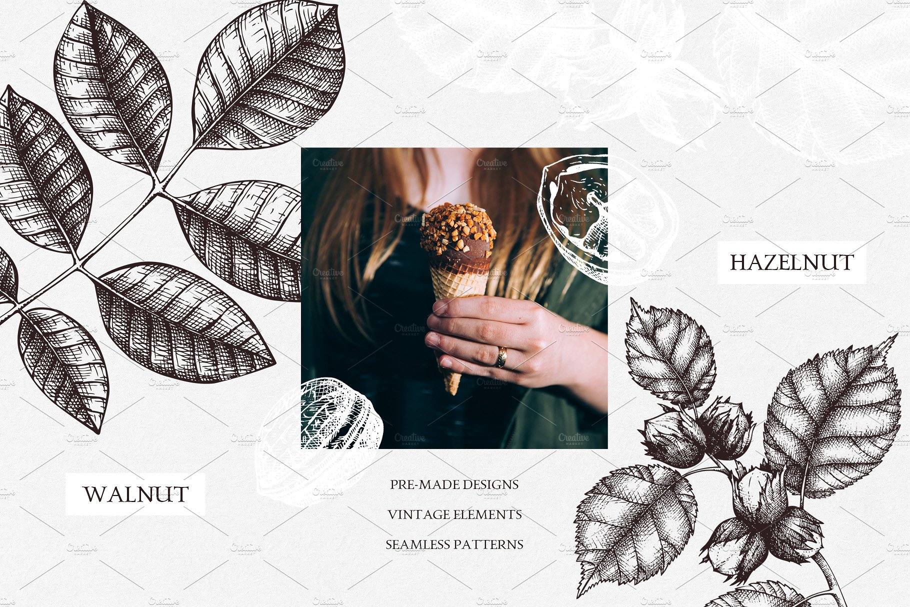 杏仁/榛子/核桃矢量插画套装 Vector Almond, Hazelnut & Walnut Set插图(2)