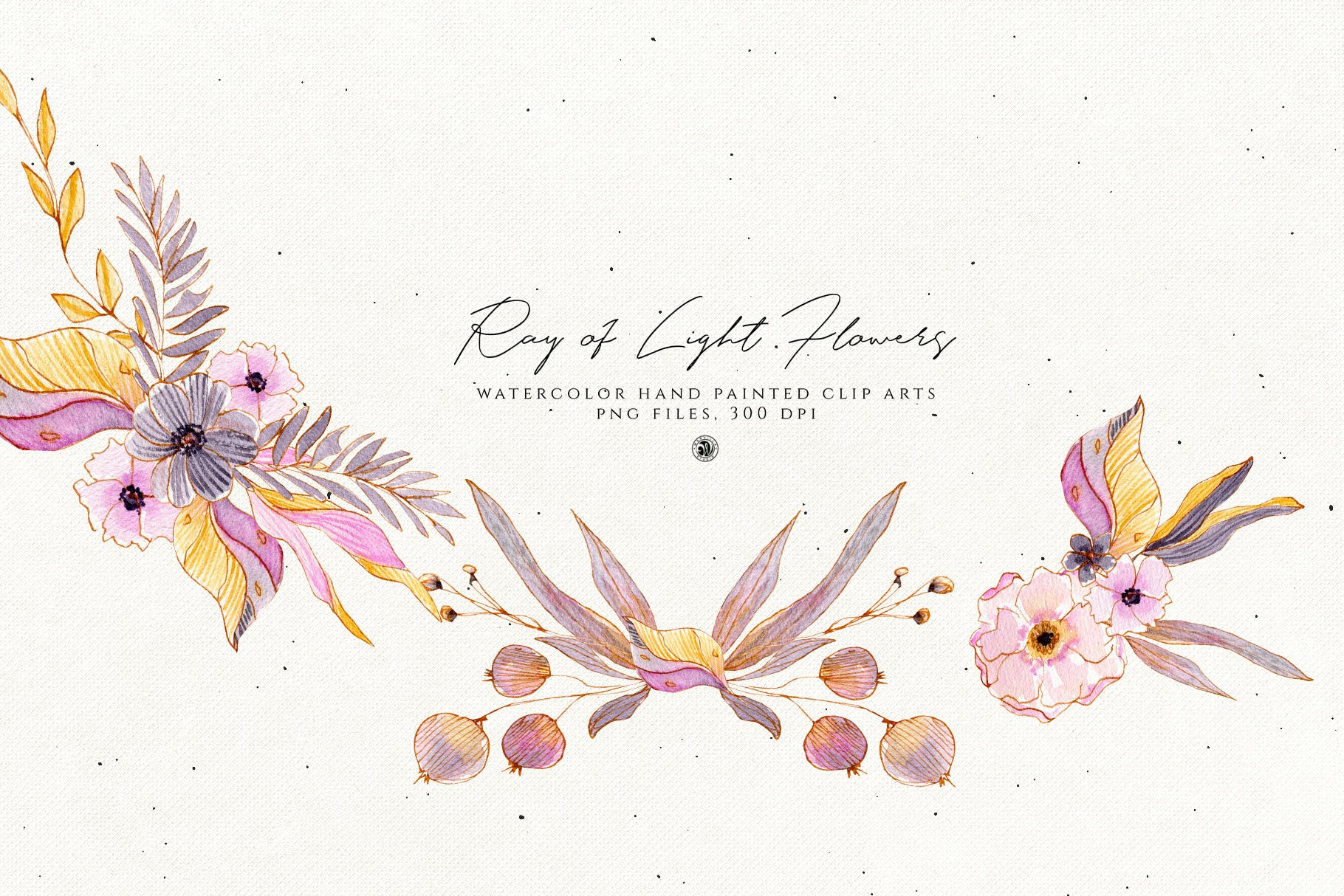 浅色优雅水彩手绘花卉剪贴画PNG素材 Ray of Light Flowers插图(5)