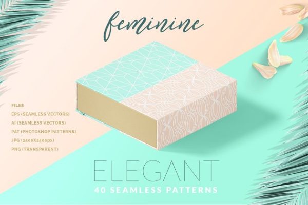 女性优雅线条图案纹理 Feminine Elegant Line Patterns