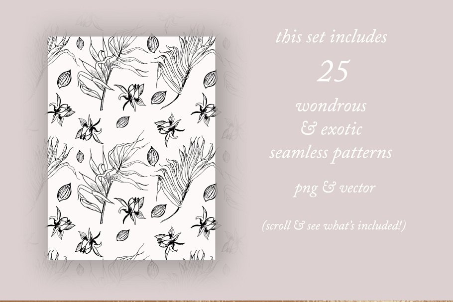 植物与几何图案纹理 Exotic Plants & Geometric Patterns插图(8)