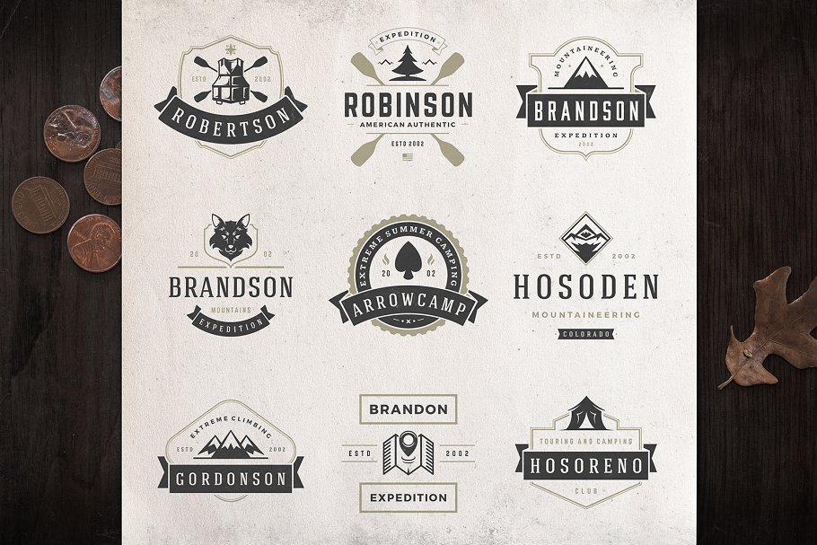280个户外品牌Logo标志和徽章模板 280 Outdoor logos and badges插图(71)