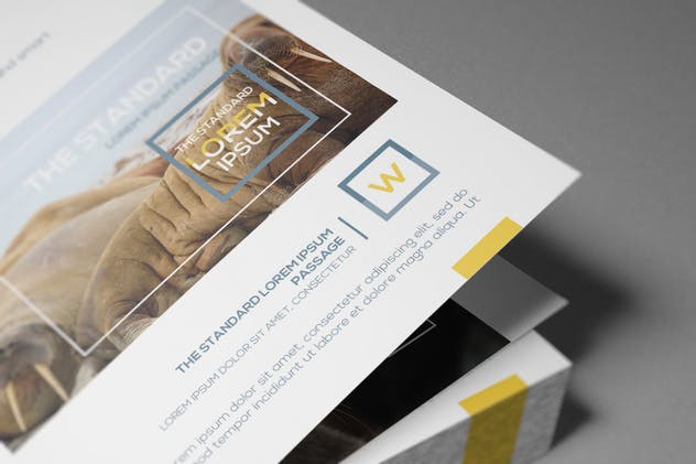 双折页A4规格企业品牌宣传册样机 Bi-Fold A4 Brochure Mockups插图(13)