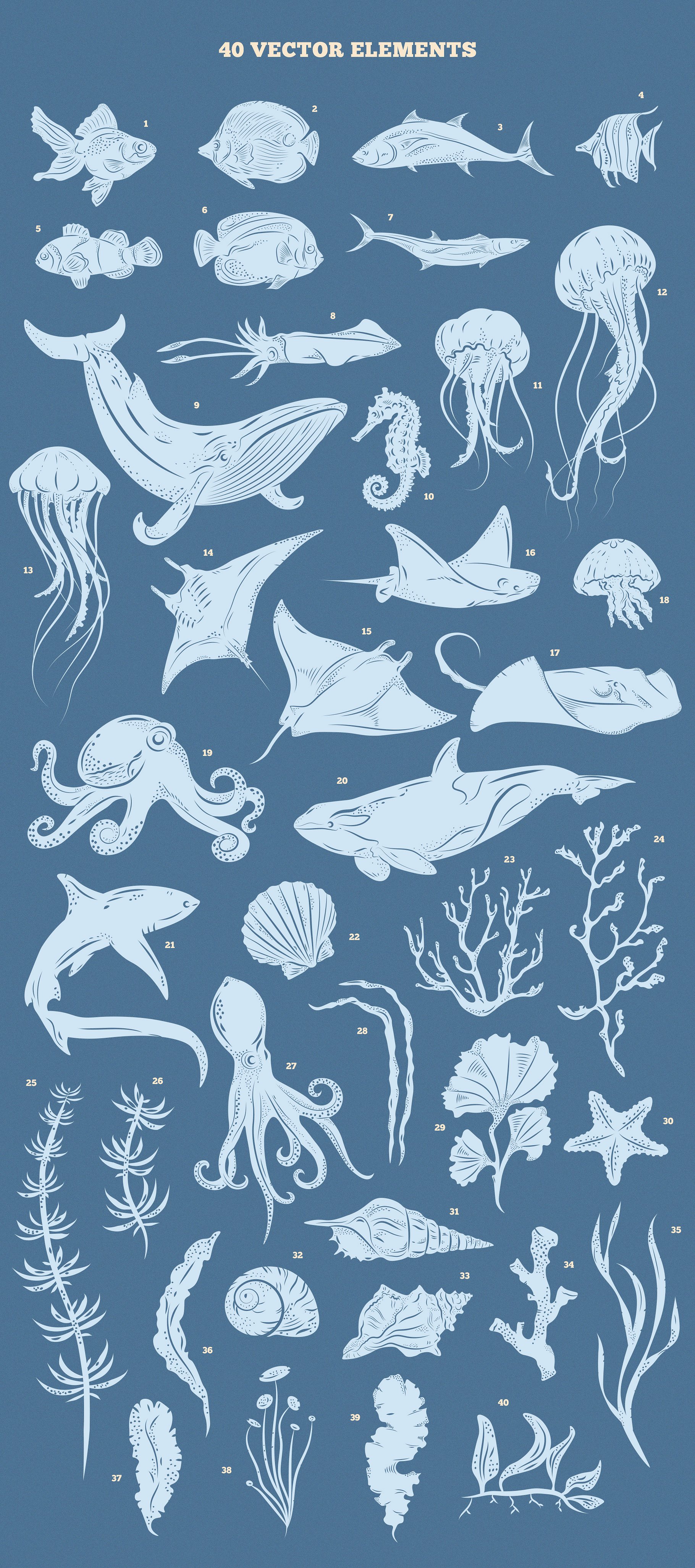 水下王国图形设计工具包 Underwater Kingdom Graphics Toolkit插图(1)