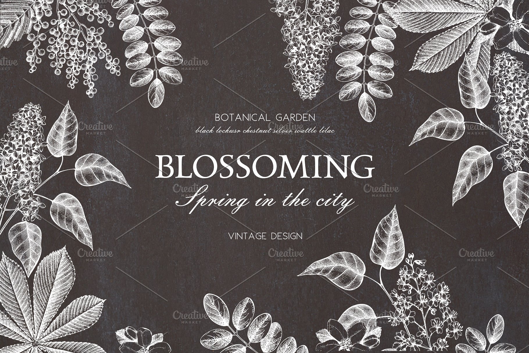 春季树木矢量插画素材 Vector Spring Trees Collection插图