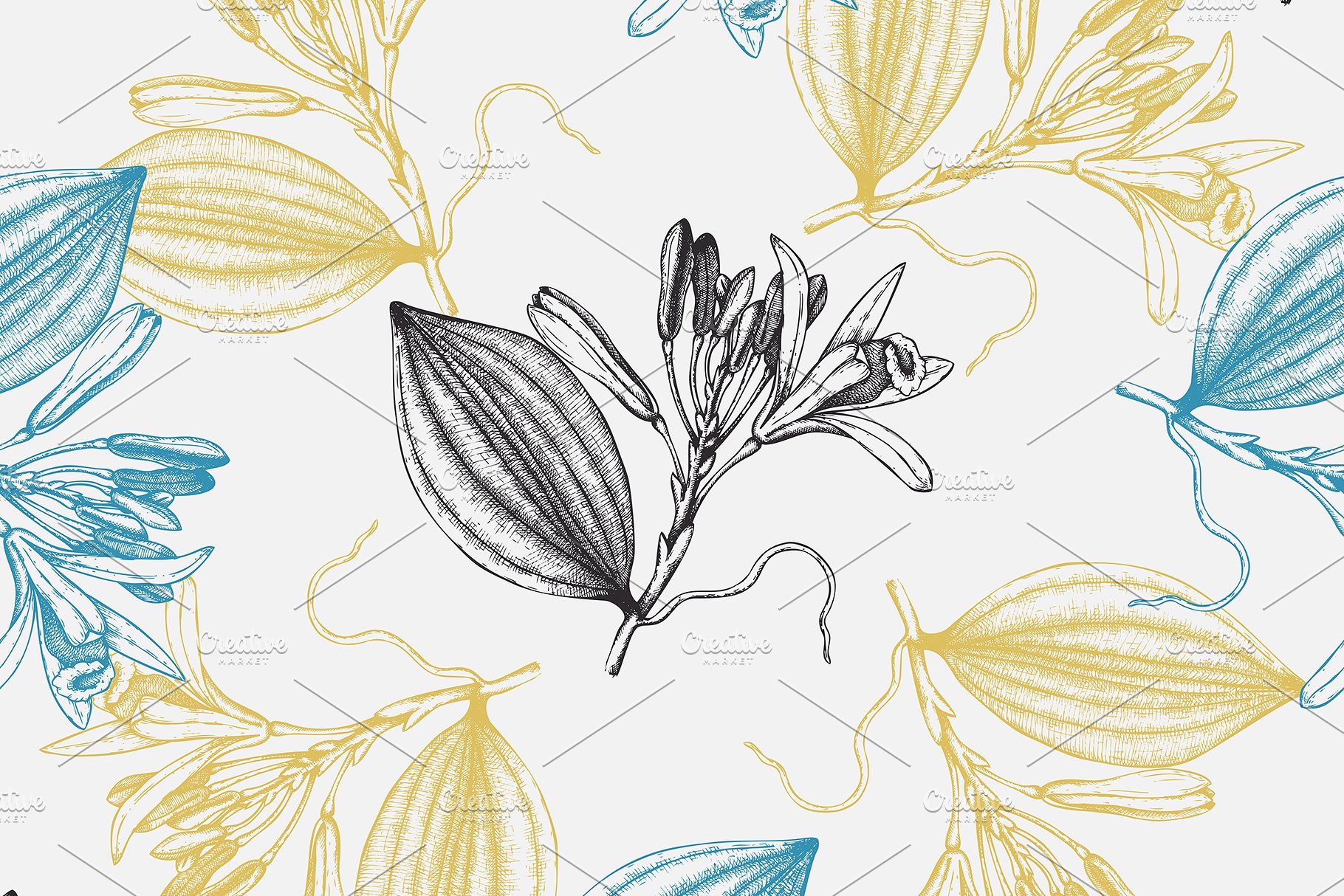 香料和化妆品成分水墨手绘插图集V.2 Perfumery & Cosmetic Ingredients v.2插图(9)