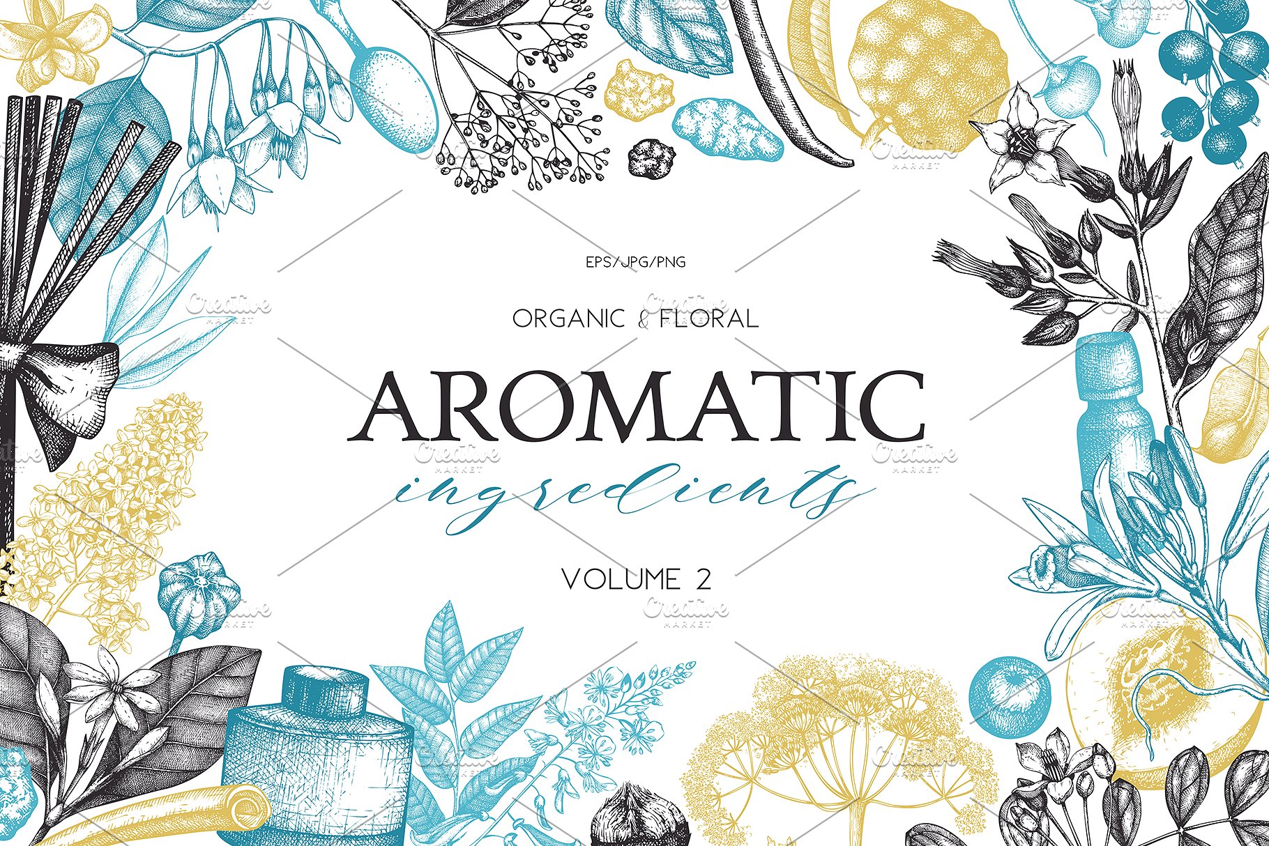 香料和化妆品成分水墨手绘插图集V.2 Perfumery & Cosmetic Ingredients v.2插图