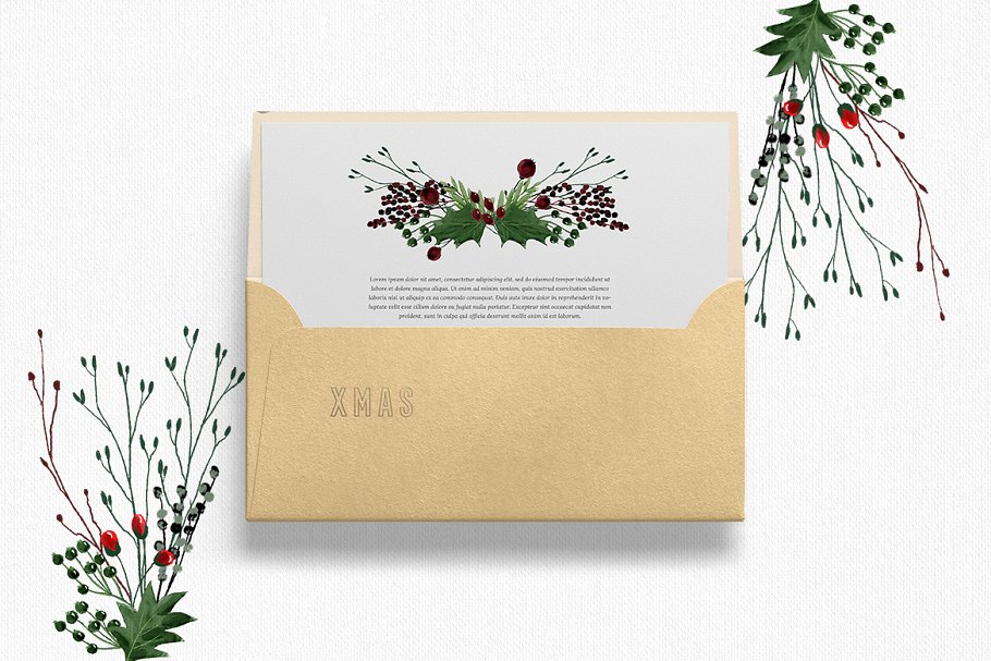 圣诞节主题手绘花卉素材集 Christmas Time Collection插图(5)