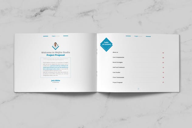 企业项目建议书/提案设计INDD模板 Project Proposal插图(1)