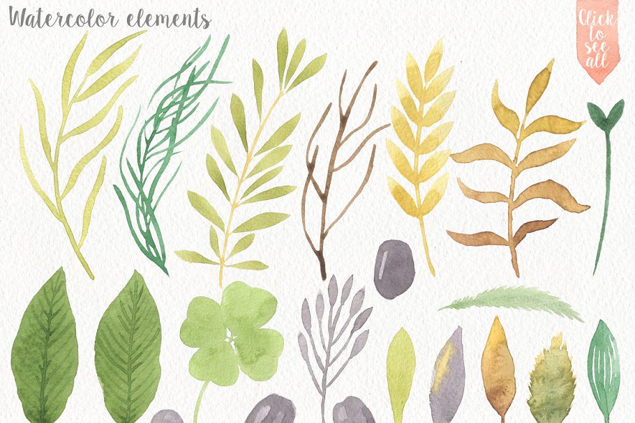 手绘水彩野生动植物插画素材 Wild Watercolor DIY Pro插图(2)