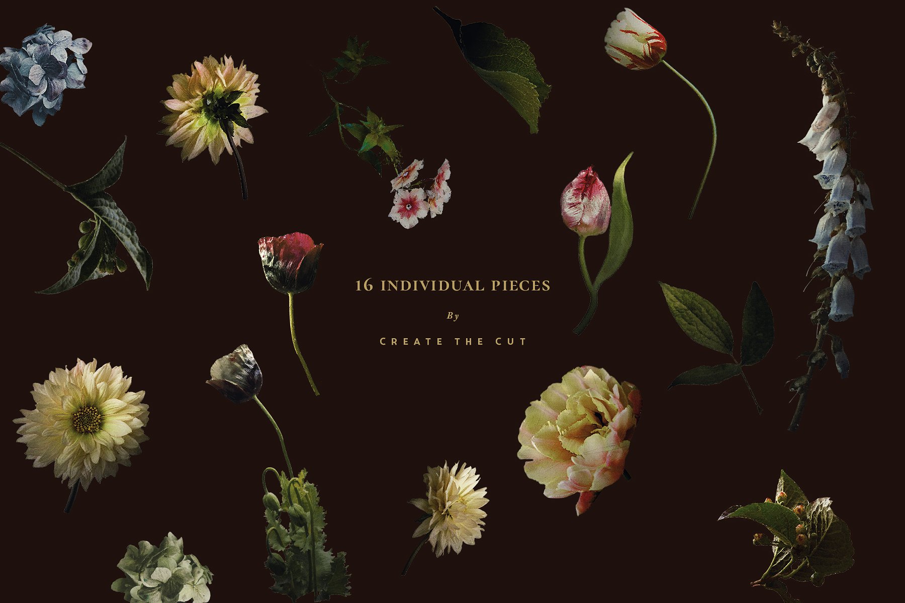 复古风格花卉透明背景剪贴画 Limited Edition – Black Diamond插图(3)