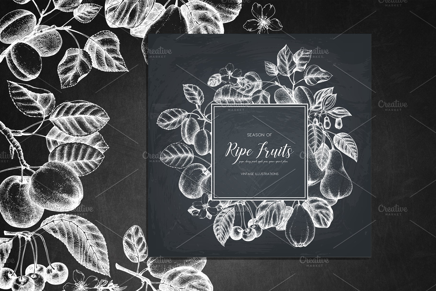 成熟水果矢量插图 Vector Ripe Fruits Illustrations插图(5)