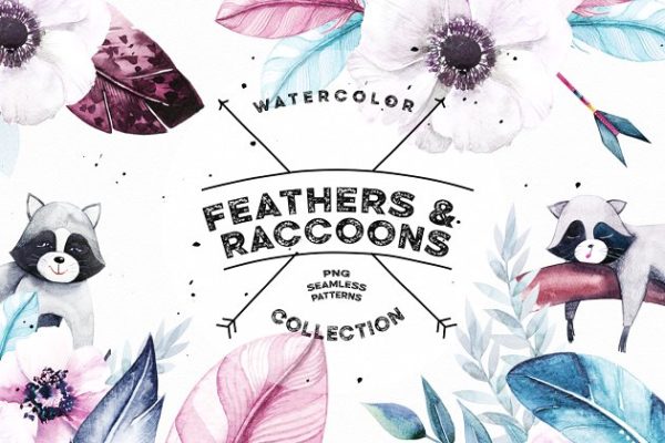 羽毛和浣熊水彩剪贴画 Watercolor Feathers &amp; Raccoons