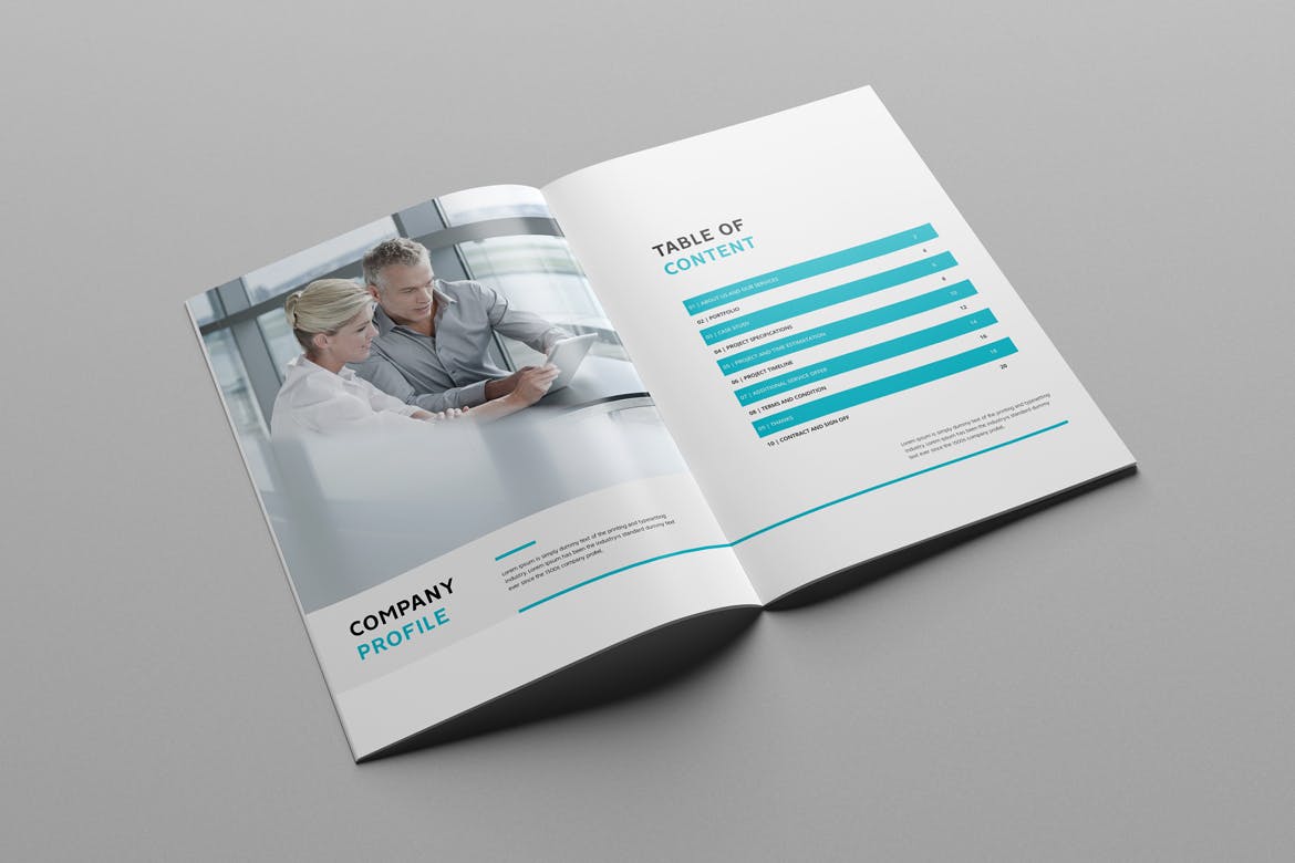 专业干净现代时尚的16P公司简介企业形象手册画册楼书杂志设计模板插图