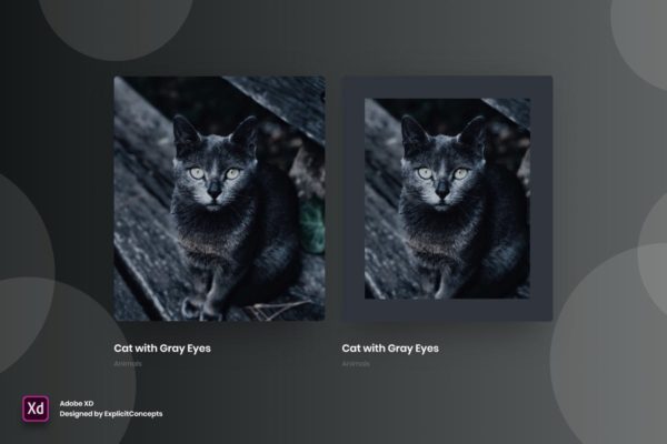 创意网站作品集悬停状态界面设计模板Vol.5 Portfolio Hover State Vol 05 – Adobe XD