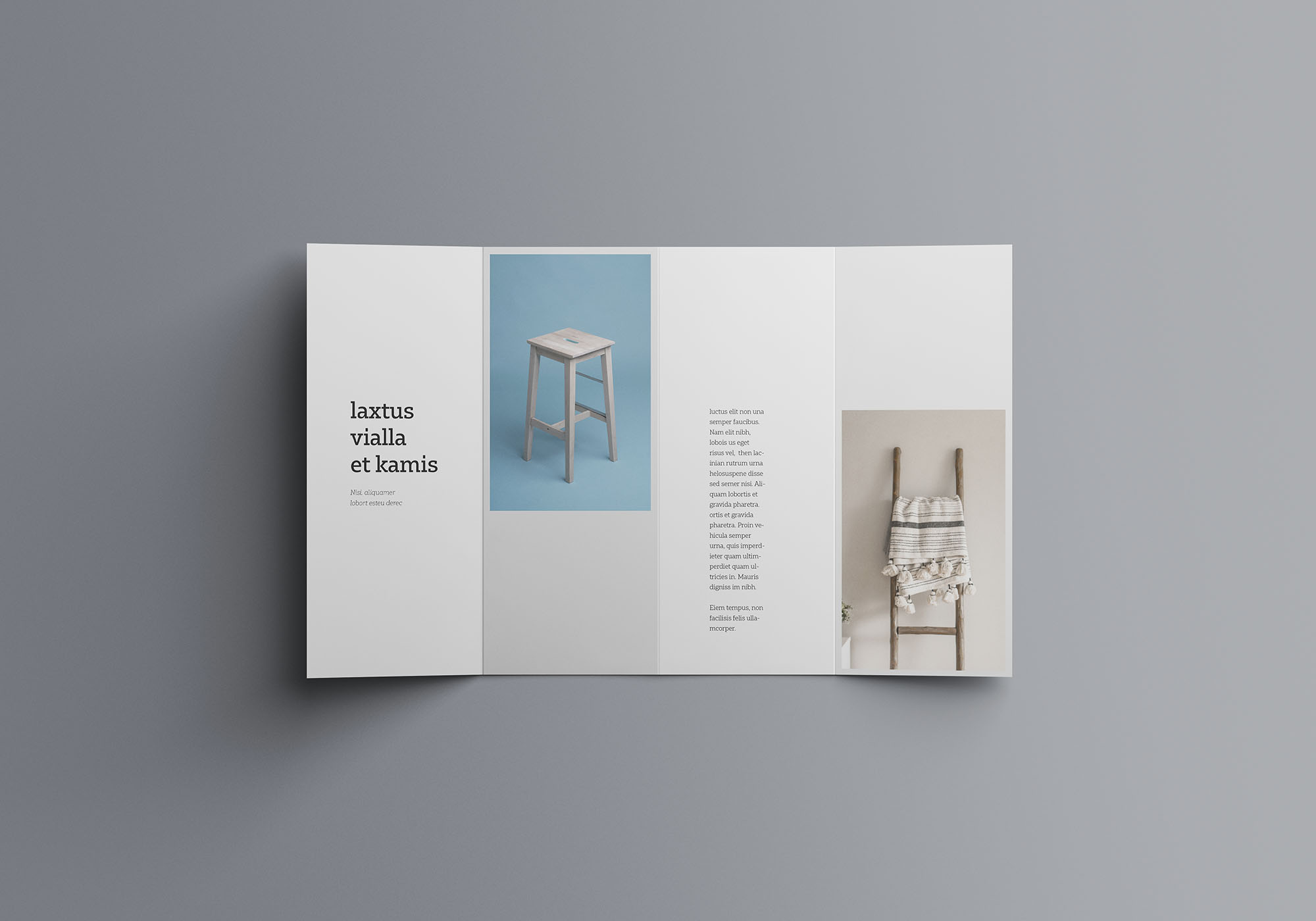 双门折叠宣传册设计效果图样机模板 Double Gatefold Brochure Mockup插图(4)