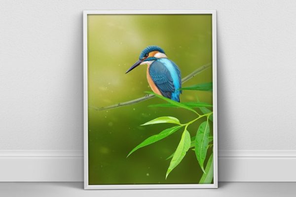 A4规格手绘翠鸟海报设计模板 Kingfisher Portrait A4 psd Poster