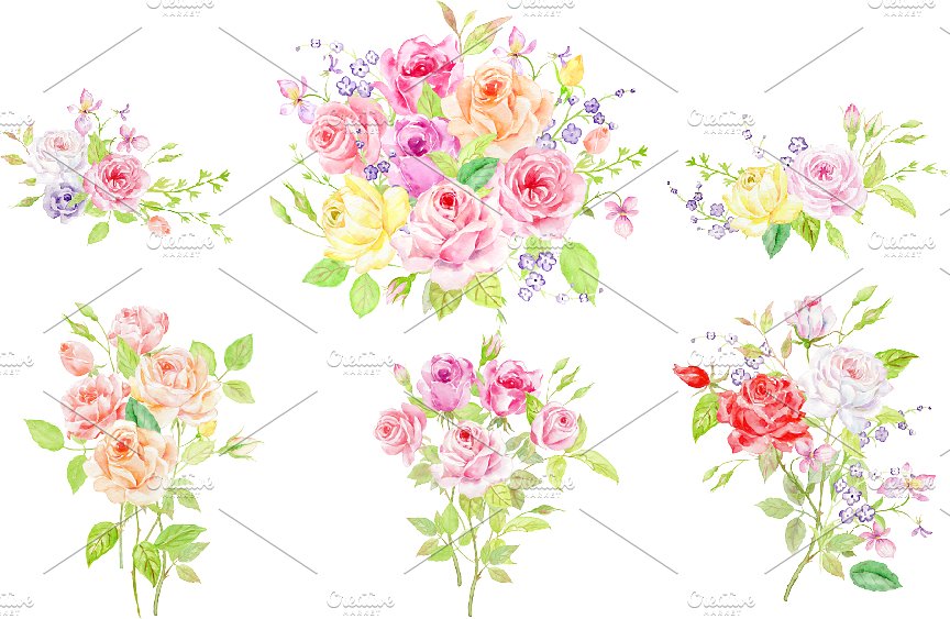 经典手绘水彩玫瑰元素合集 Watercolor Classic Vintage Rose插图(2)