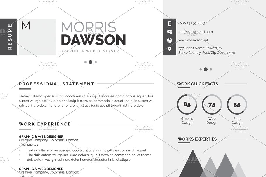 高端创意信息图表简历模板 Clean Infographic Resume/CV插图(5)