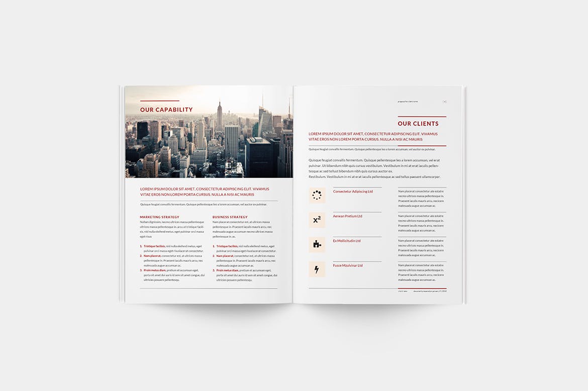 商业计划书/投标标书设计模板 Business Proposal插图(4)