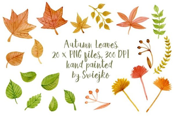 秋天落叶剪贴画 Autumn Leaves, clipart