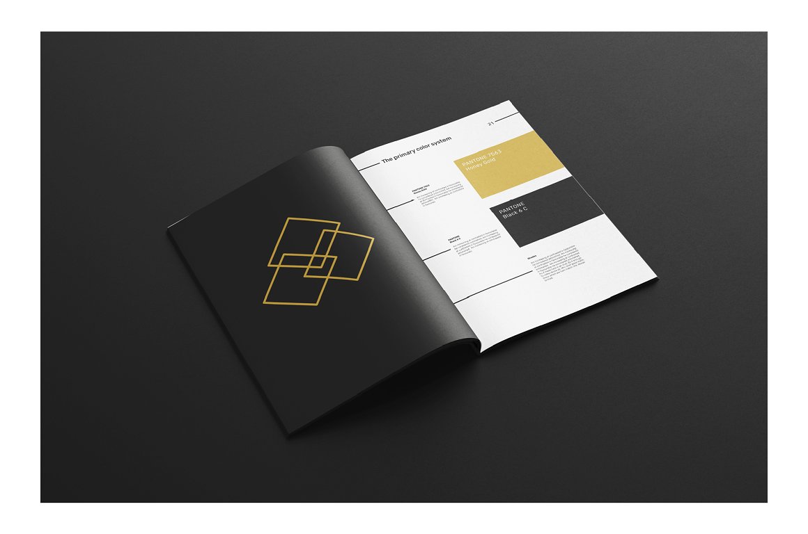 黑白极简主义现代品牌手册插图(8)