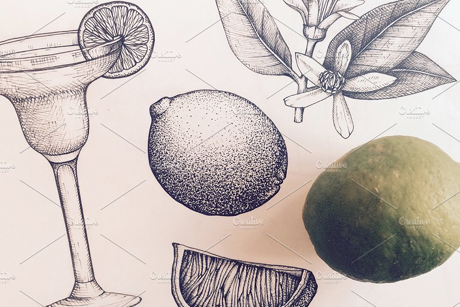 手绘素描柑橘类水果矢量无缝纹理 Vector Citrus Fruits Patterns Set插图(4)