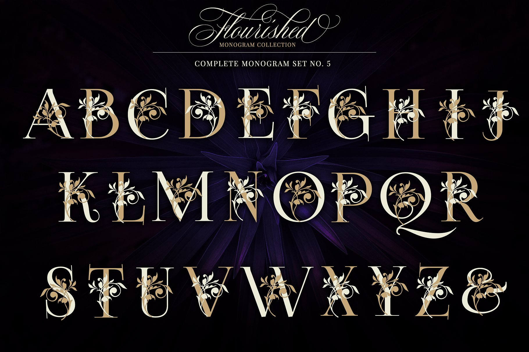 优雅手绘花卉装饰字母矢量素材 Flourished Monogram Collection插图(10)