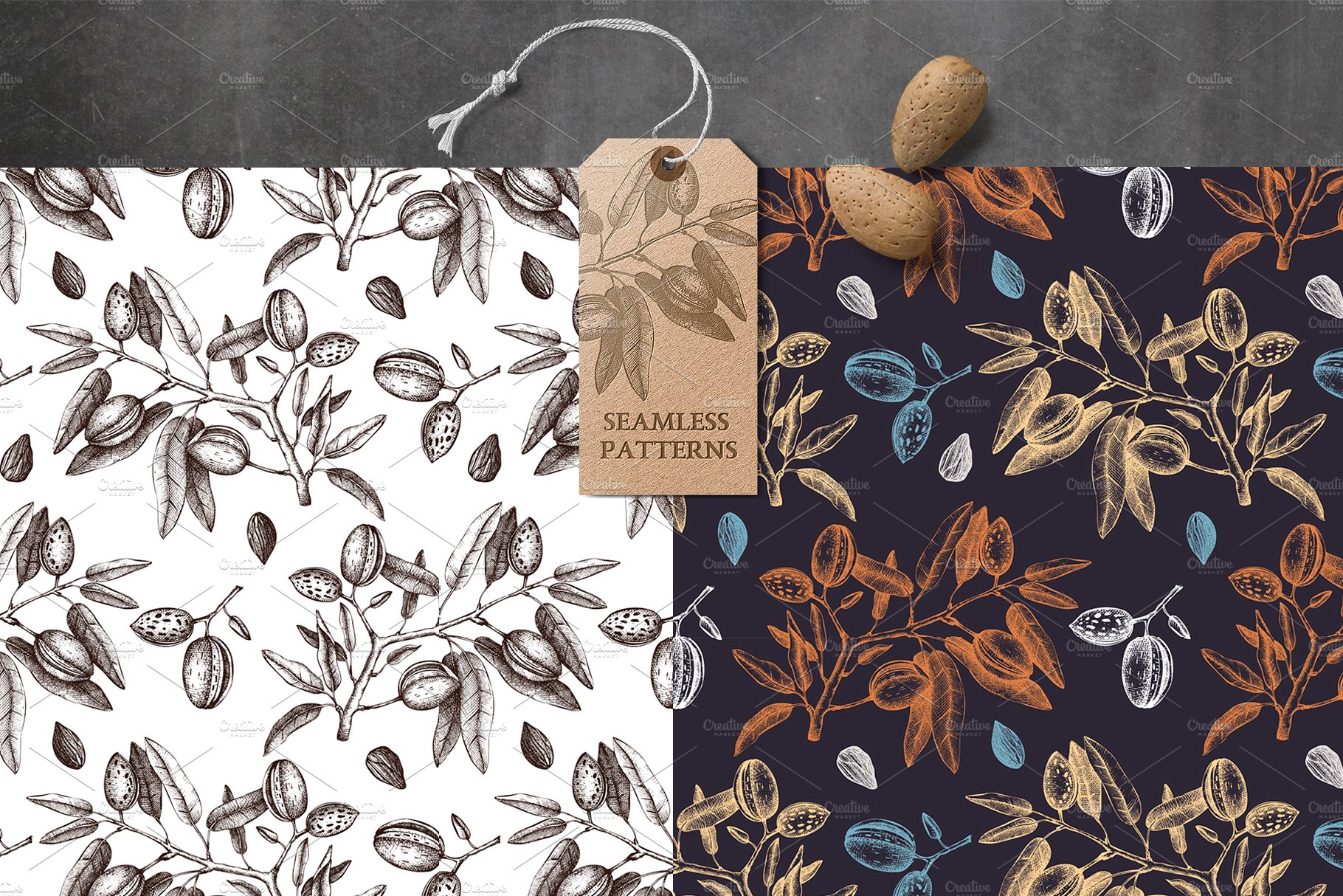 杏仁/榛子/核桃矢量插画套装 Vector Almond, Hazelnut & Walnut Set插图(1)