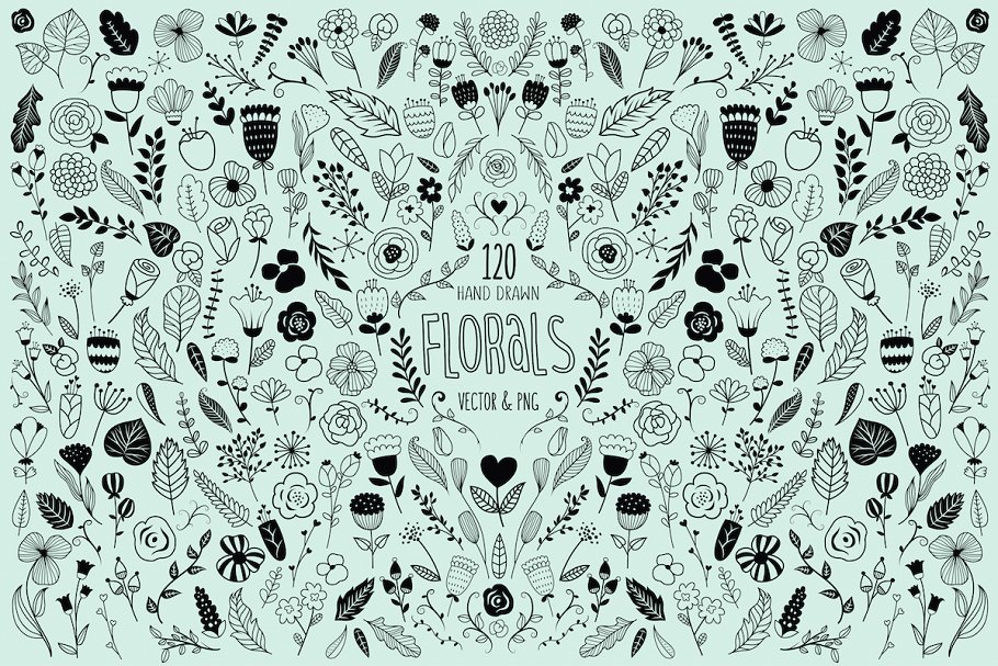 120款美丽的手绘花卉设计元素 120 Hand Drawn Florals Vector & PNG插图(1)